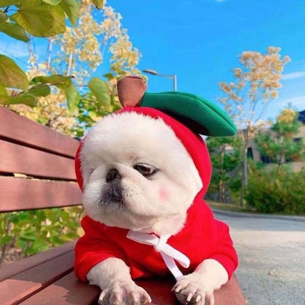 Warm Fleece Cute Fruit Dog Hoodies
