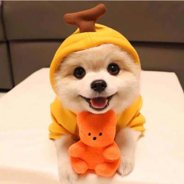 Warm Fleece Cute Fruit Dog Hoodies