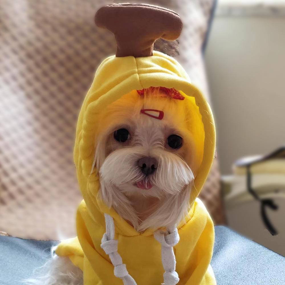 Warm Fleece Cute Fruit Dog Hoodies