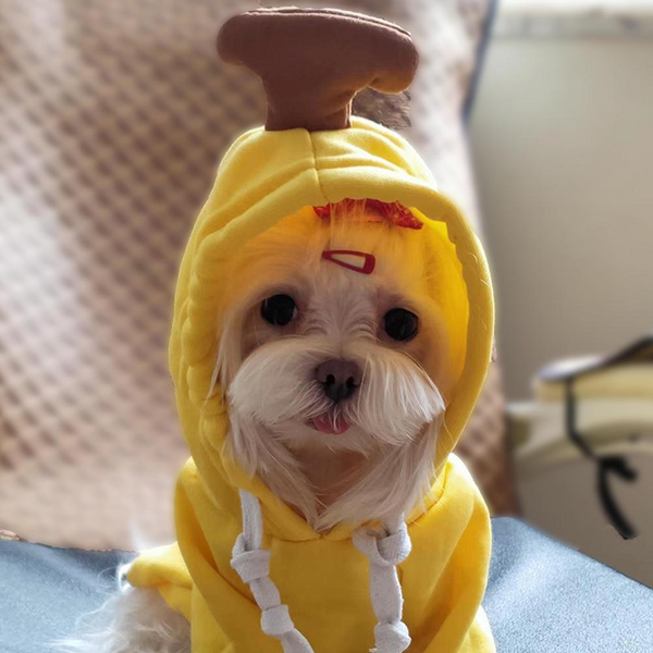 Warm Fleece Cute Fruit Dog Hoodies