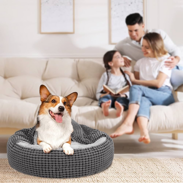 Donut Pet Bed with Blanket