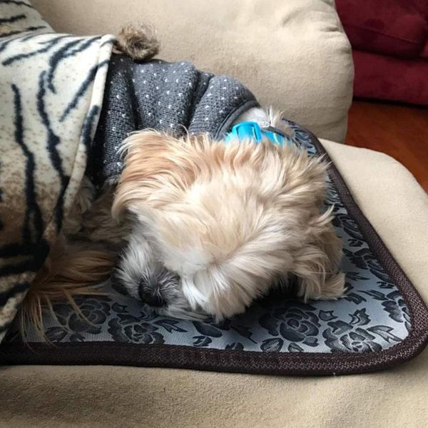Temperature Adjustable Pet Heating Pad