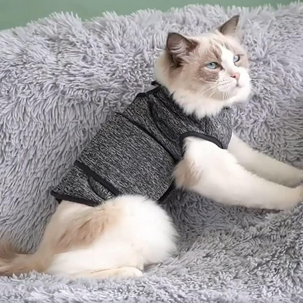 Anxiety Relief Safety Cat Vest