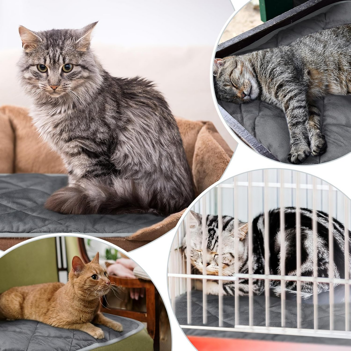 Washable Self-Heating Pet Mat