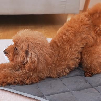 Washable Self-Heating Pet Mat