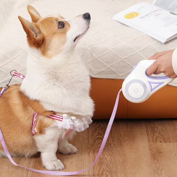 LED Retractable Dog Leash