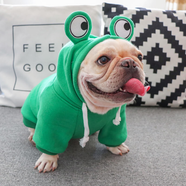 Warm Fleece Cute Fruit Dog Hoodies