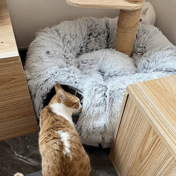 3-In-1 Plush Cat Tunnel Bed