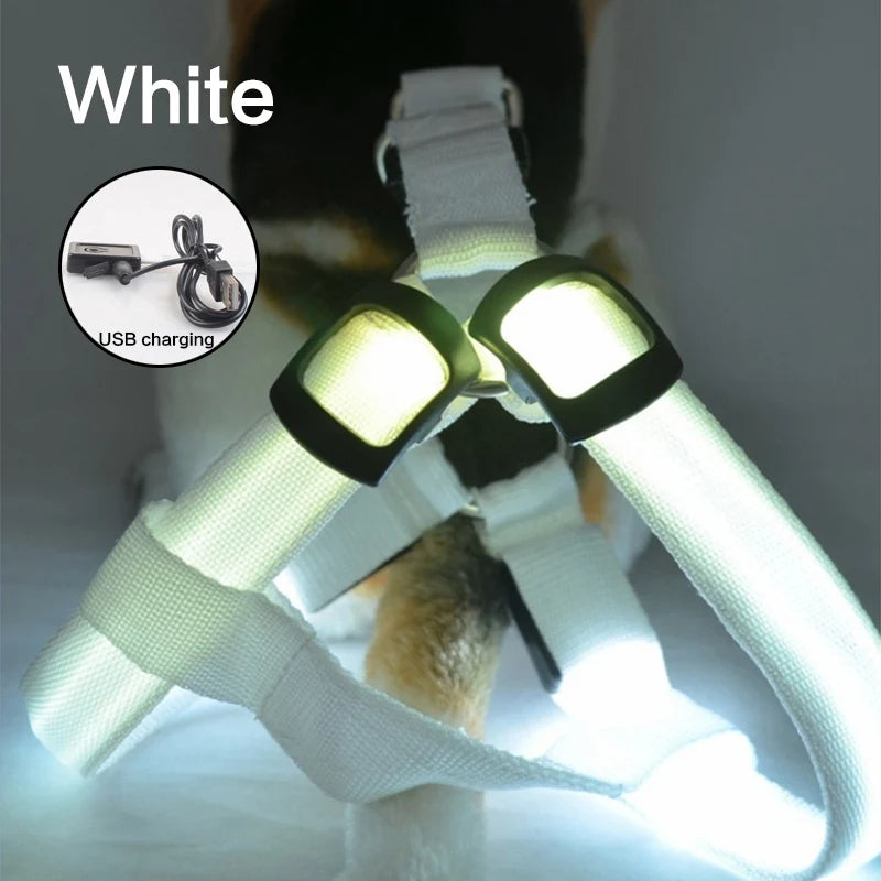 LED Neon Safety Harness