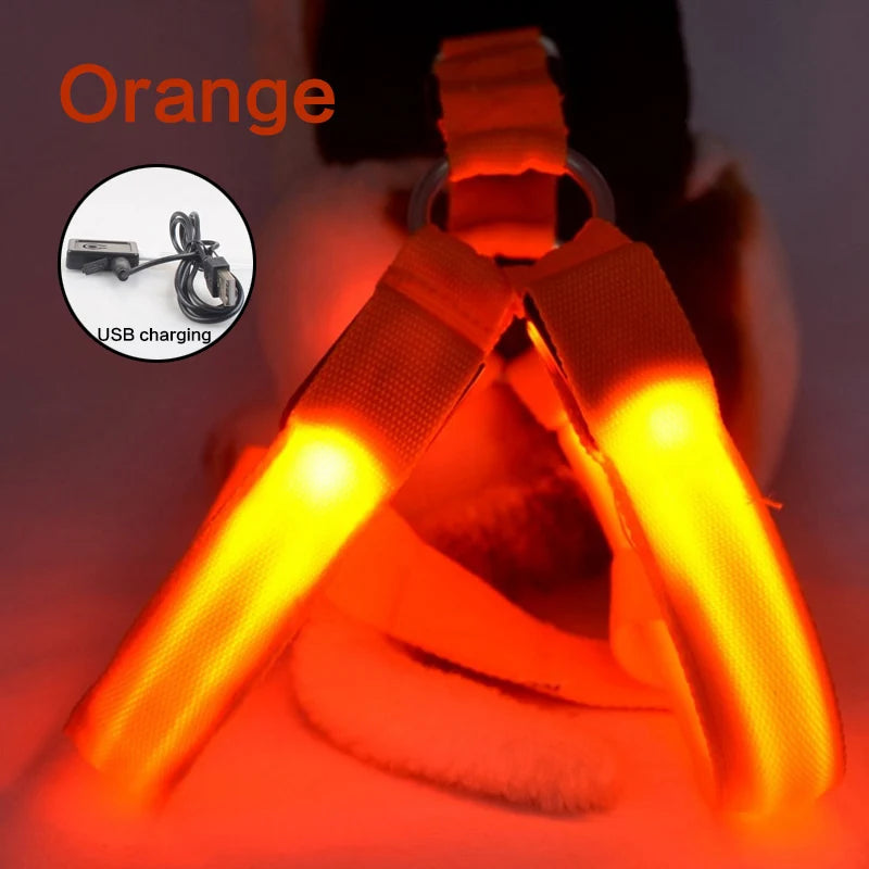 LED Neon Safety Harness
