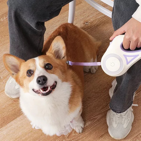 LED Retractable Dog Leash