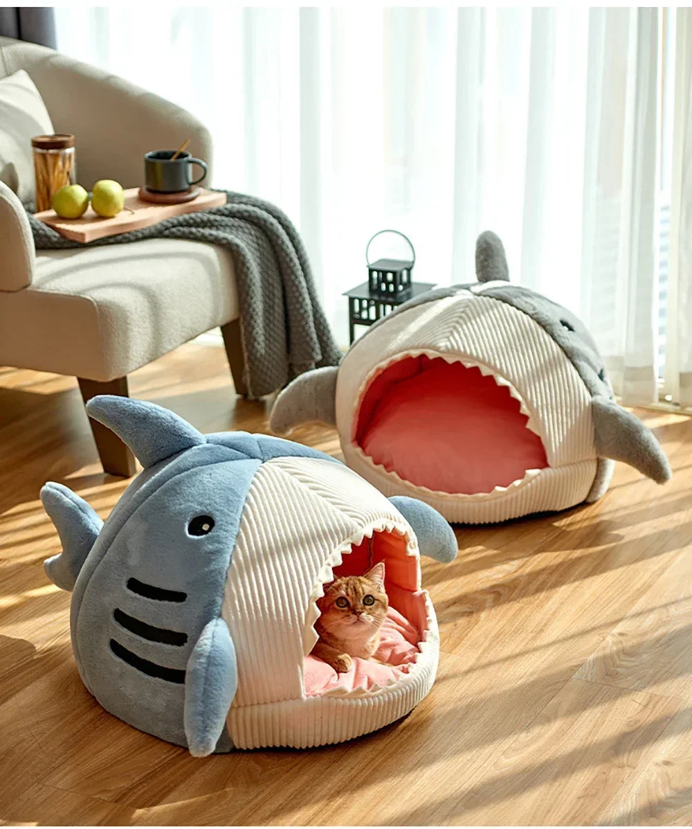Shark Bed