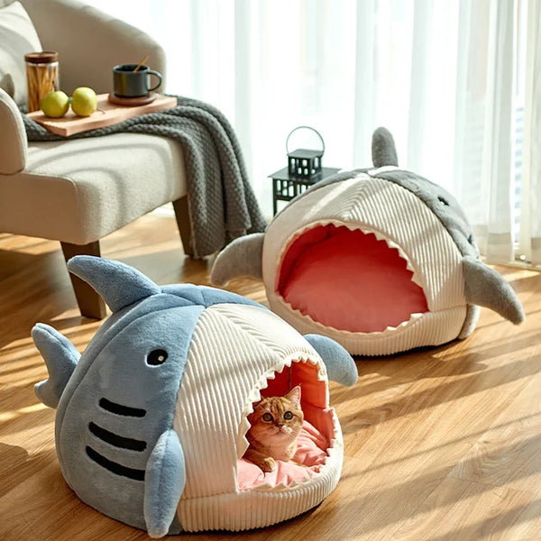Shark Bed