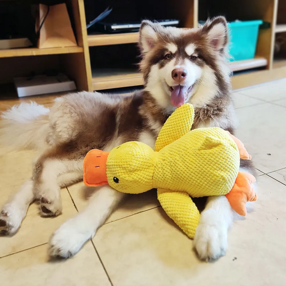 Quack-Quack Duck Dog Toy