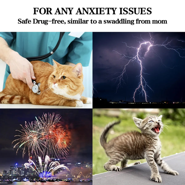 Anxiety Relief Safety Cat Vest