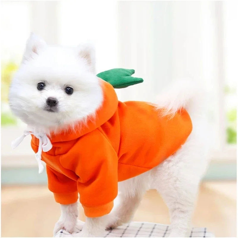 Warm Fleece Cute Fruit Dog Hoodies