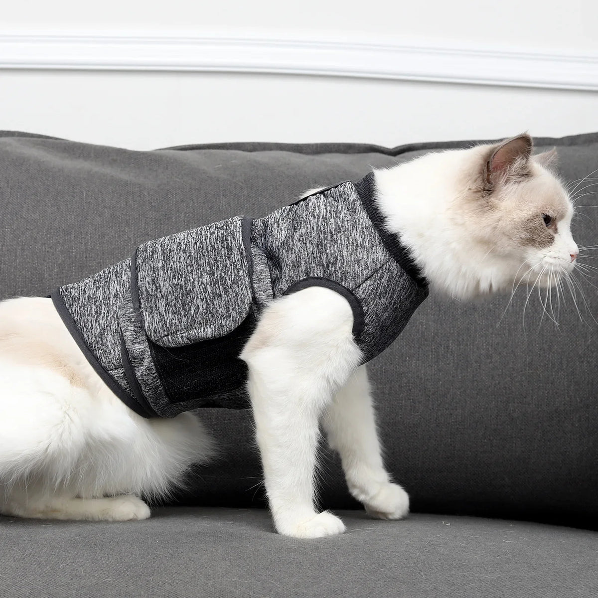 Anxiety Relief Safety Cat Vest