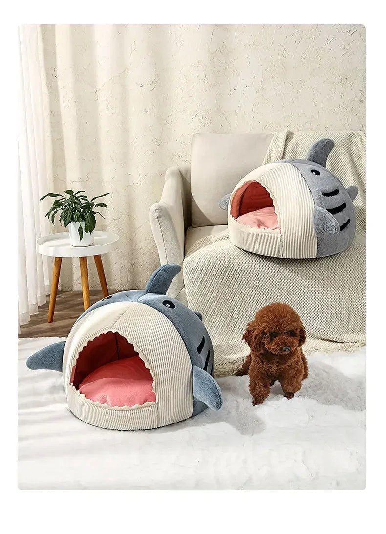 Shark Bed