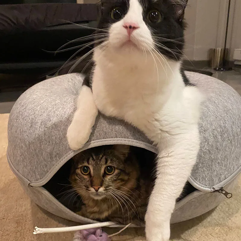 Interactive Tunnel Donut Pet Bed