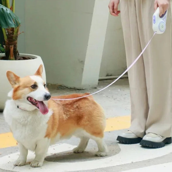 LED Retractable Dog Leash