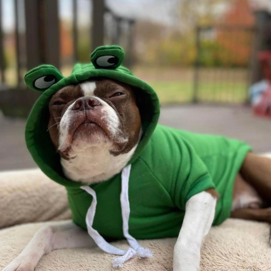 Warm Fleece Cute Fruit Dog Hoodies